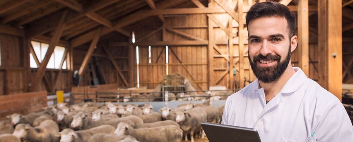 portrait-veterinarian-dressed-white-coat-with-rubber-gloves-standing-sheep-domestic-farm-edited-scaled portrait-veterinarian-dressed-white-coat-with-rubber-gloves-standing-sheep-domestic-farm-edited-scaled